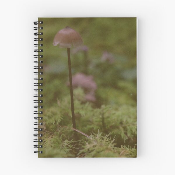 Item preview, Moss flower designed and sold by nekodokai1.
