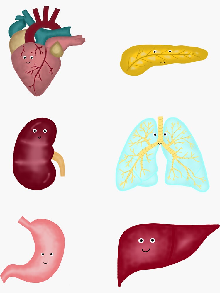 Organs Please for windows download free