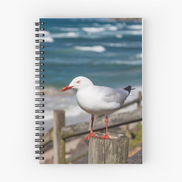 Item preview, Seagull Standing designed and sold by JoelBrown.