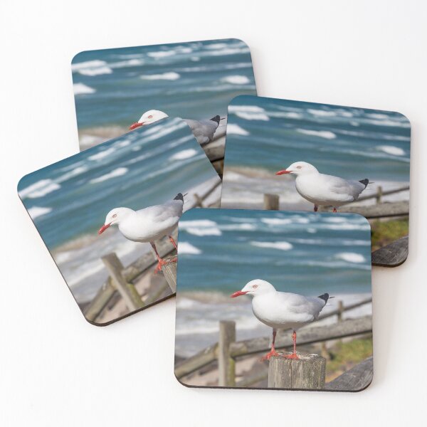 Item preview, Seagull Standing designed and sold by JoelBrown.