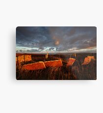Pentland Firth, Caithness, Scotland Metal Print