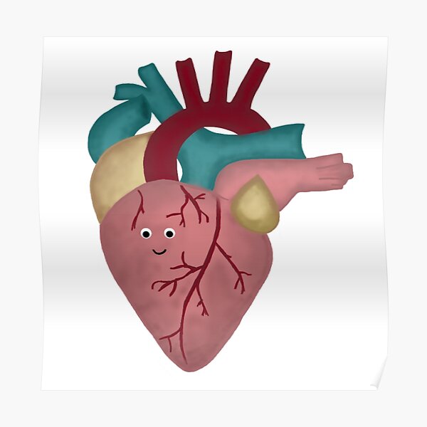 Menschliches Herz Cartoon Poster Von Patrimonio Redbubble