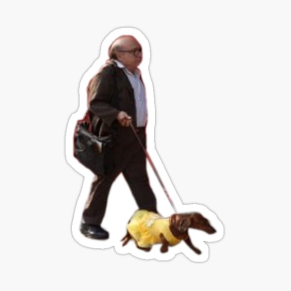 danny devito dog dress