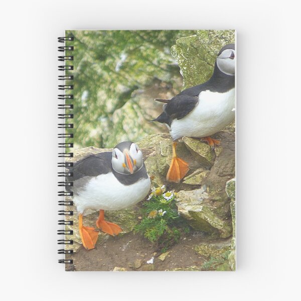 Item preview, Puffins on Bempton Cliffs. designed and sold by Lilian Marshall.