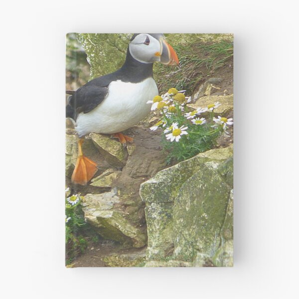 Item preview, Puffins on Bempton Cliffs. designed and sold by Lilian Marshall.