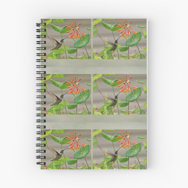 Item preview, Hummingbird in Afternoon designed and sold by Sandy Keeton.