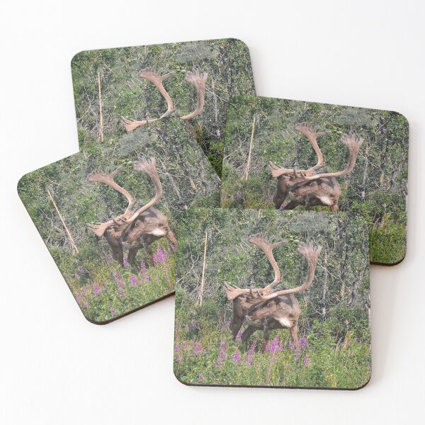Item preview, I'm Not A Reindeer designed and sold by Lanis Rossi.