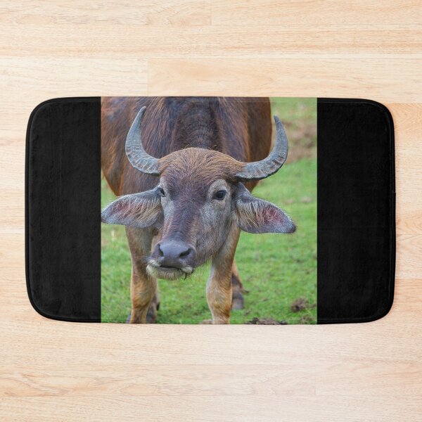 Item preview, Sri Lanka. Yala National Park. Buffalo. designed and sold by vadim19.