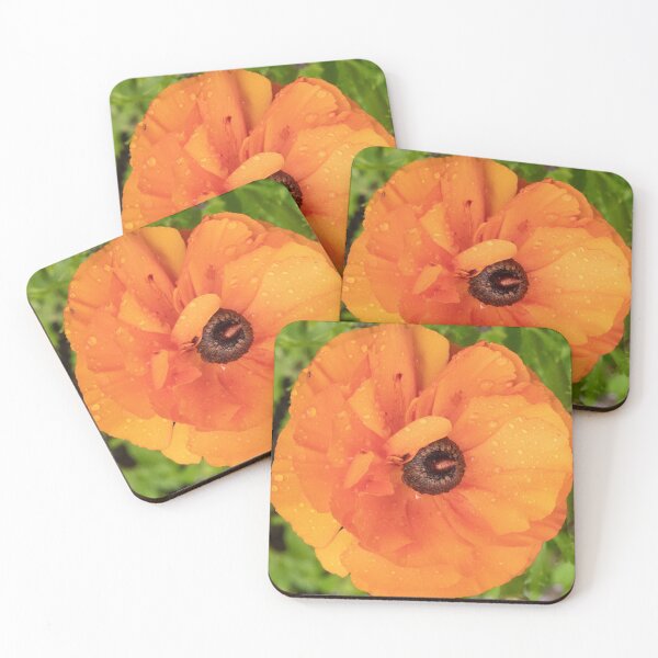 Item preview, Orange Ranunculus designed and sold by DPalmer.