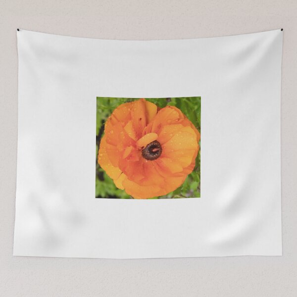 Item preview, Orange Ranunculus designed and sold by DPalmer.