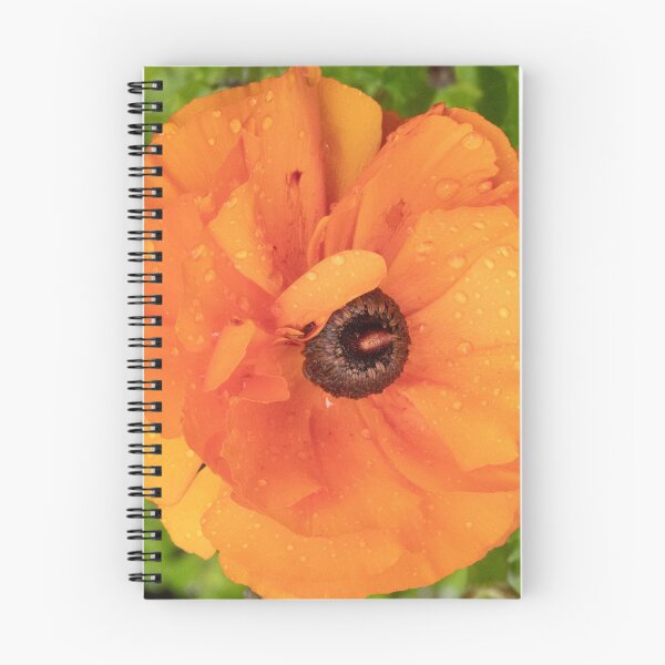 Item preview, Orange Ranunculus designed and sold by DPalmer.