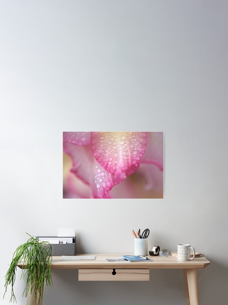 Thumbnail 2 of 3, Poster, Pink Flowers - Raining designed and sold by HELUA.