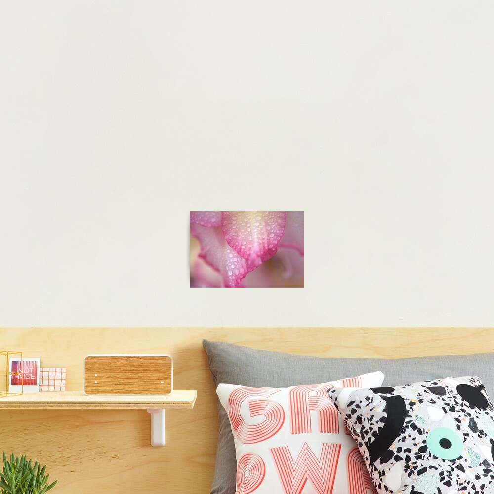 Item preview, Photographic Print designed and sold by HELUA.