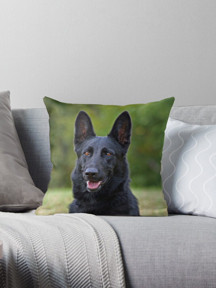 German shepherd best sale throw pillow