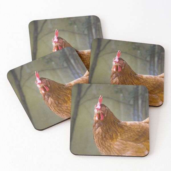 Item preview, Feather Friends Collection - Chicken designed and sold by Coastal West Creative.
