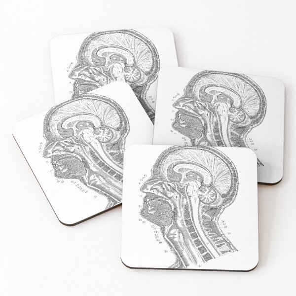 Item preview, Vintage Anatomy designed and sold by jessxh.