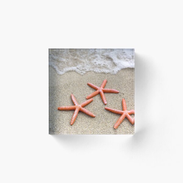 Stunning Seashore Collection - Starfish 3 Acrylic Block