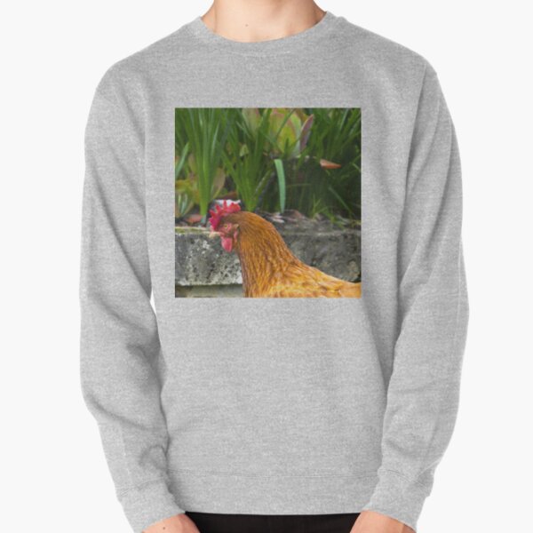 Feather Friends Collection - Chicken Stare Pullover Sweatshirt