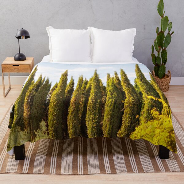 Item preview, Italian Cypress - Tuscany - Italy designed and sold by Yannik Hay.