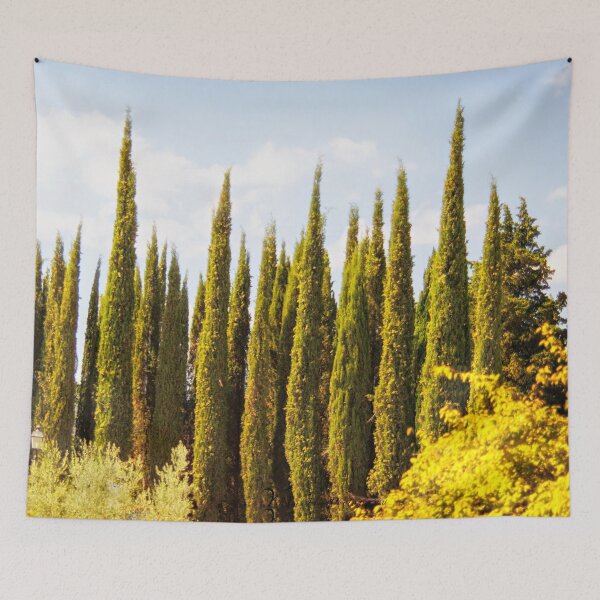 Item preview, Italian Cypress - Tuscany - Italy designed and sold by Yannik Hay.