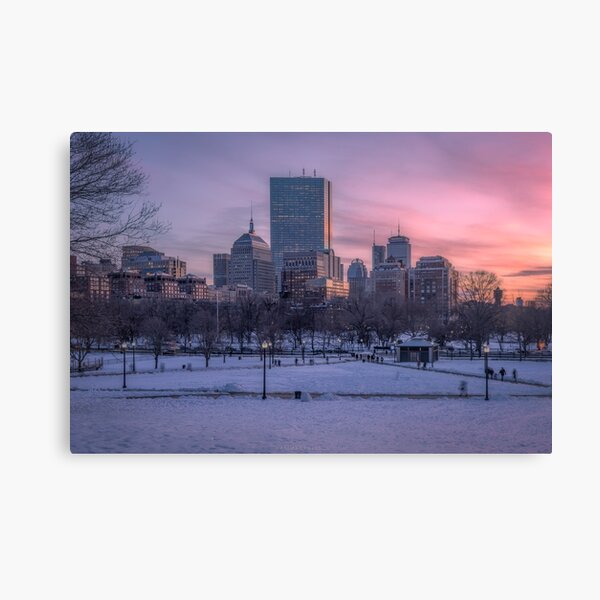 Boston Common Wall Art Redbubble