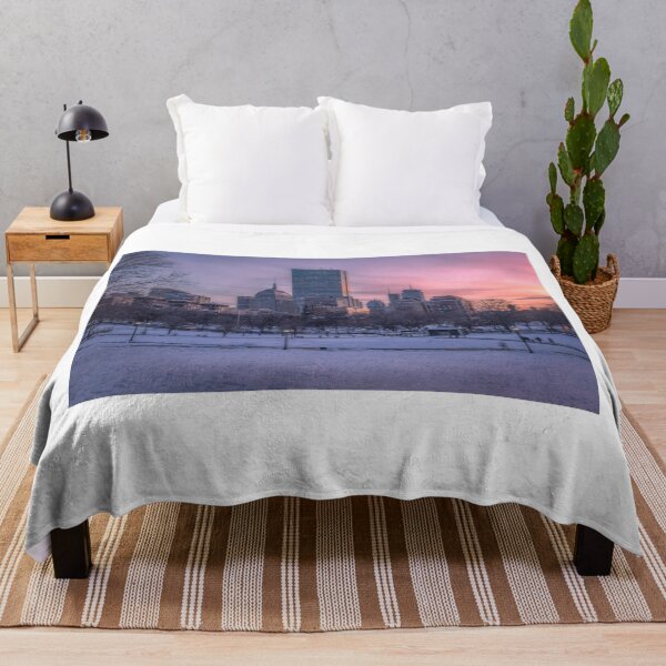Item preview, Winter on the Common, Boston designed and sold by Under The Radar Van.