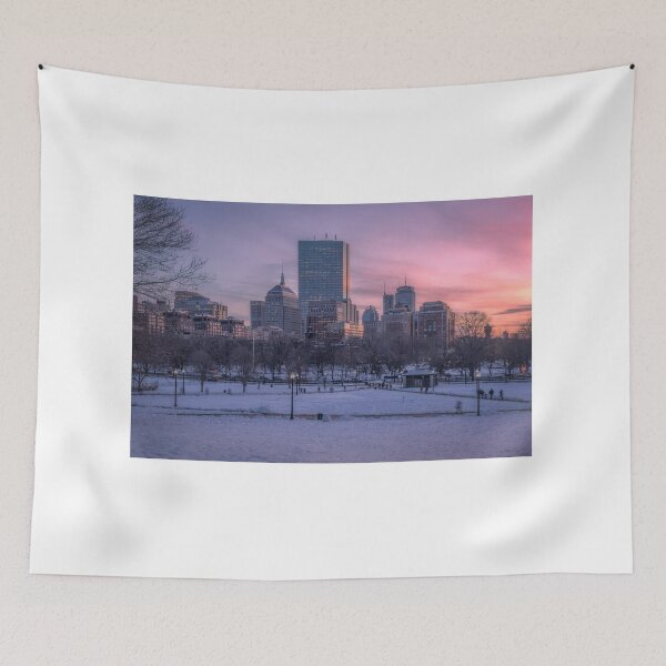 Item preview, Winter on the Common, Boston designed and sold by Under The Radar Van.