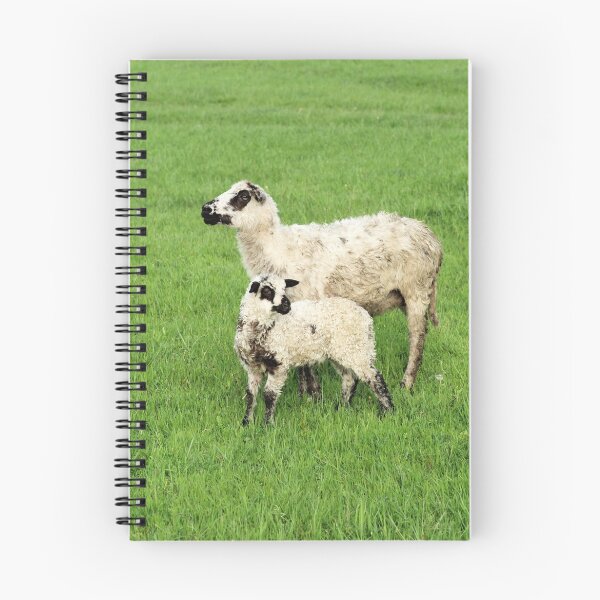 Item preview, Sheep with baby on a background of green grass fresh designed and sold by Tverdokhlib.