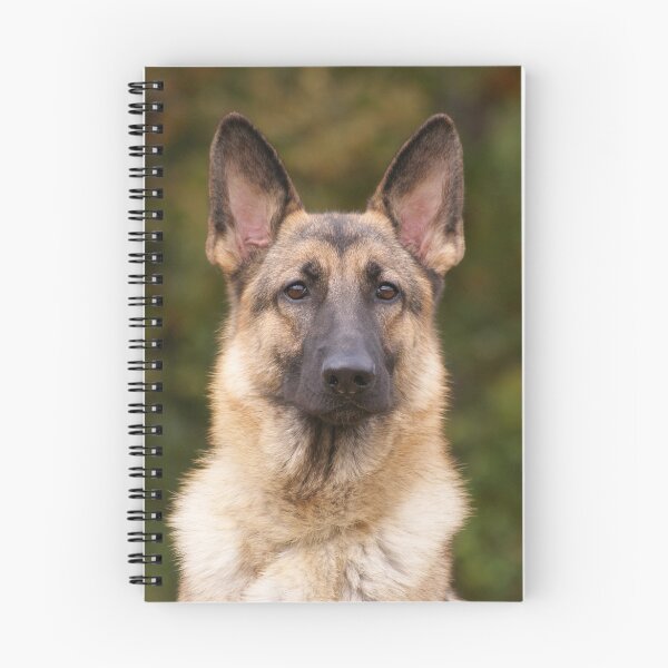 Item preview, Yahtzee Portrait designed and sold by Sandy Keeton.