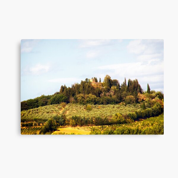 Italy, Chianti, Castellina in Chianti, Fonterutoli Wall Art, Canvas Prints,  Framed Prints, Wall Peels