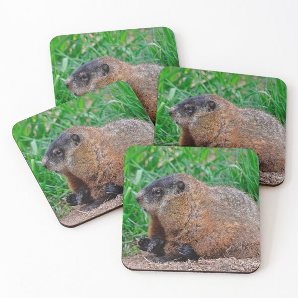 Item preview, Woodchuck designed and sold by Karen Peron.