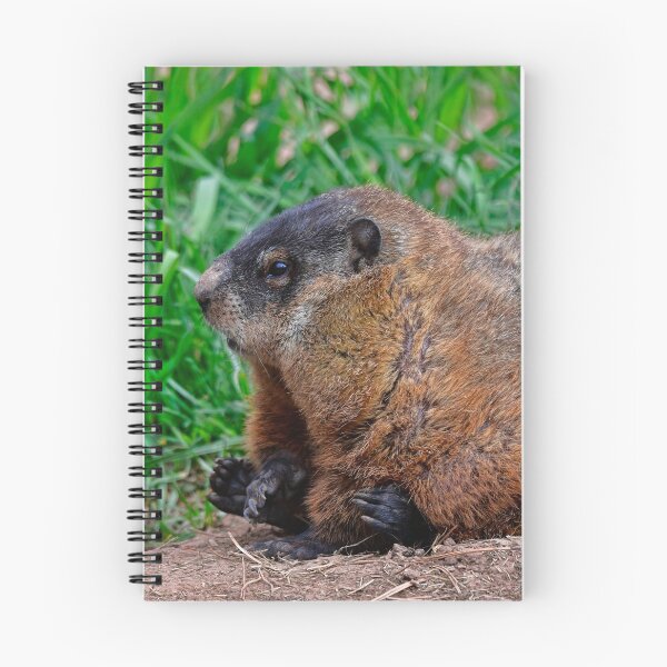 Item preview, Woodchuck designed and sold by Karen Peron.