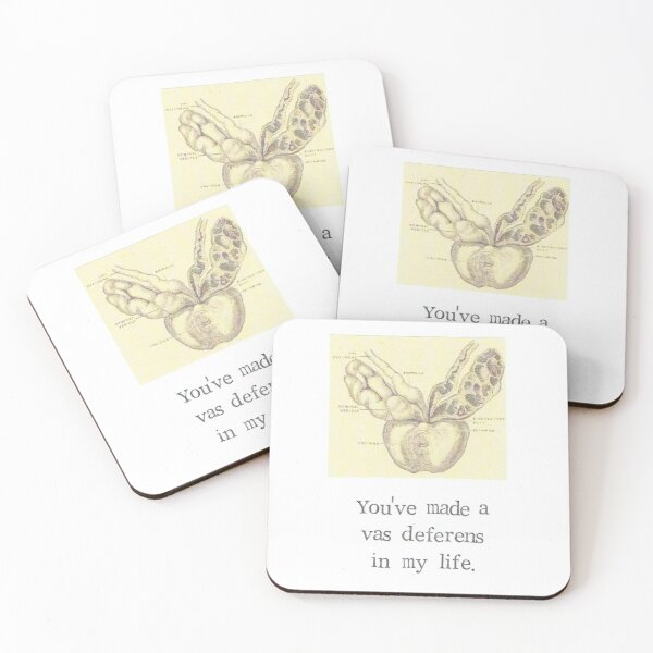 A Vas Deferens In My Life Coasters (Set of 4)