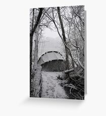 No Fish Today Greeting Card