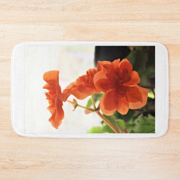 Item preview, Three Begonias designed and sold by Martha Sherman.