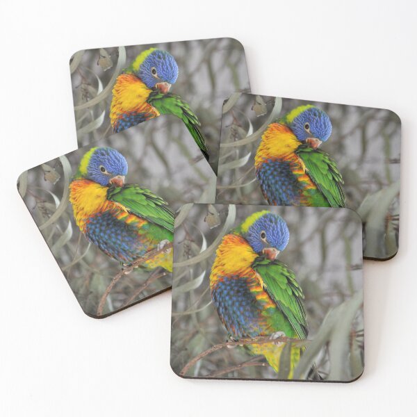 Item preview, Rainbow Lorikeet Dunsborough  Western Australia designed and sold by Rainbow Farm Photography.