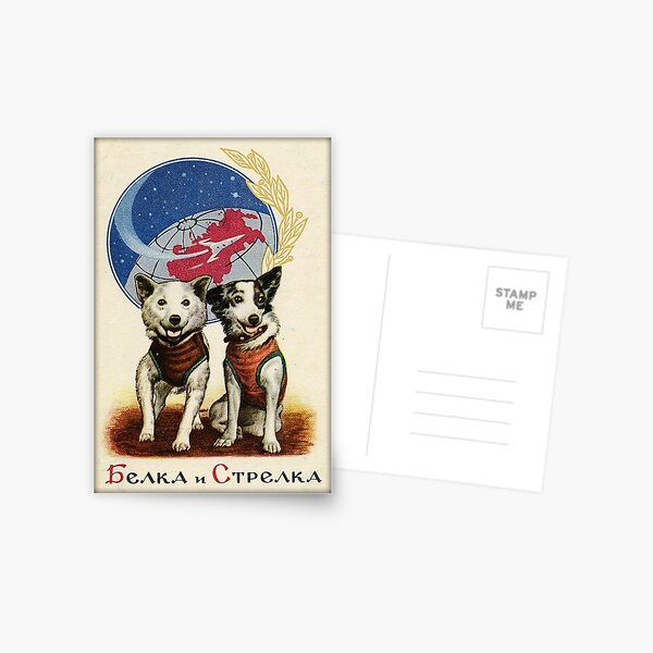Belka and Strelka Space Dogs Postcard