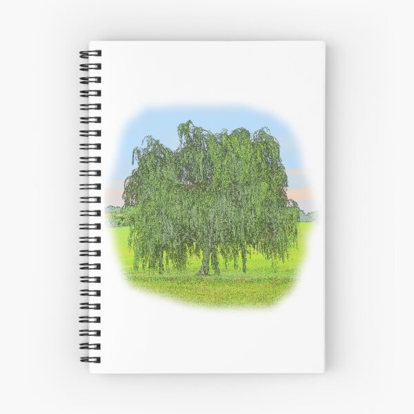 Item preview, Willow Tree designed and sold by SEEphotos7171.
