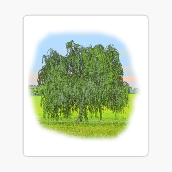 Item preview, Willow Tree designed and sold by SEEphotos7171.