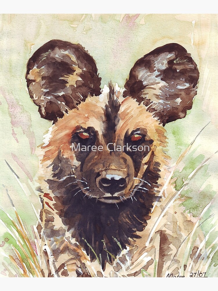 Cheetah, African Wildlife Cap for Sale by printedsparrow