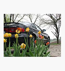 Heavy Metal Meets Nature Photographic Print