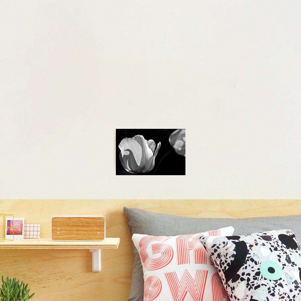 Item preview, Photographic Print designed and sold by wholeein.