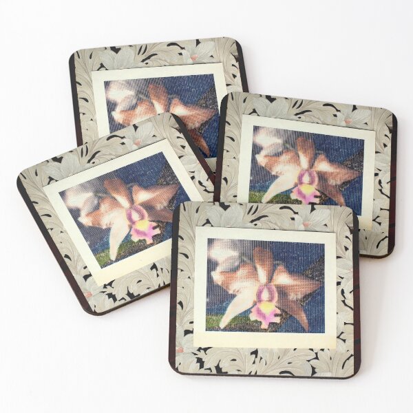 Item preview, Not Your Usual Corsage Cattleya designed and sold by Michael May.
