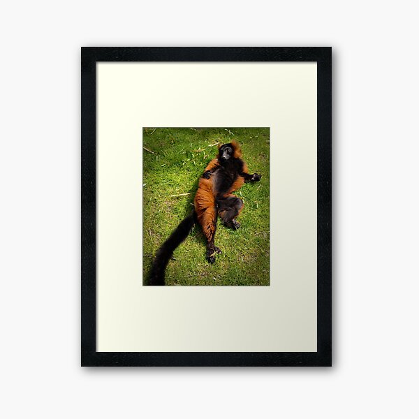 Relaxed Framed Art Print