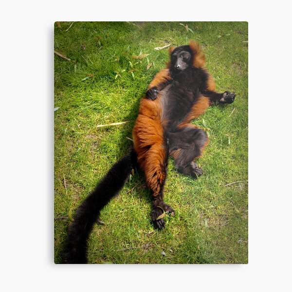 Relaxed Metal Print