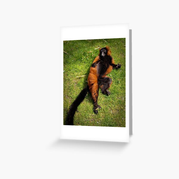 Relaxed Greeting Card