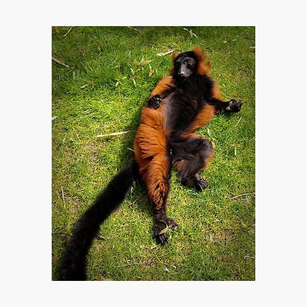 Relaxed Photographic Print
