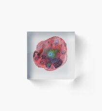 Cell Acrylic Block