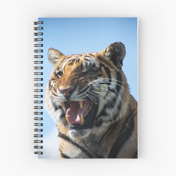 Item preview, Snarling Tiger designed and sold by LauraKCaldPhoto.