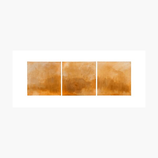 Lake Triptych Photographic Print